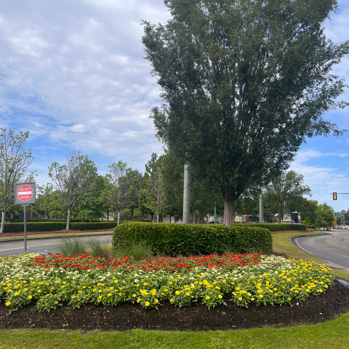 EastChase_1